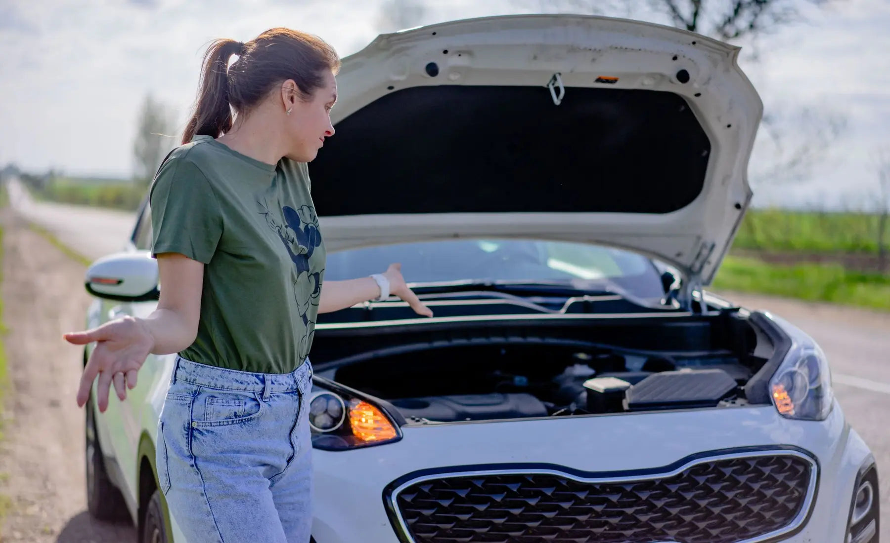 Motorist beside a vehicle with the bonnet raised